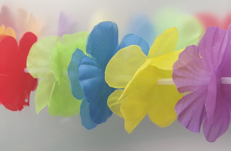 Hawaiian Luau Celebration